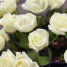 19 белых роз + Raffaello 150г.