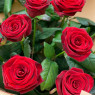 19 красных роз + Raffaello 150г.