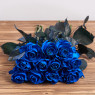 Голландская роза "Синяя"