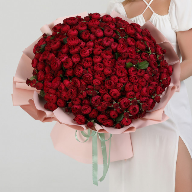 51 троянда Черрі Трендсеттер