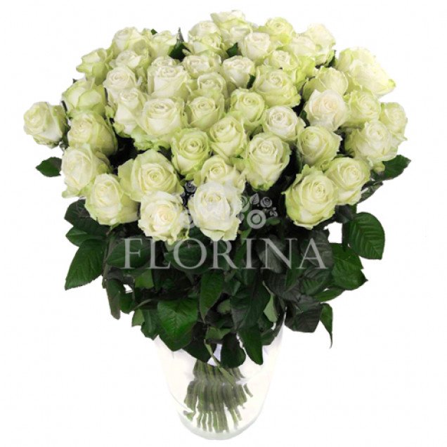 Роза "Аваланж" 80 см.