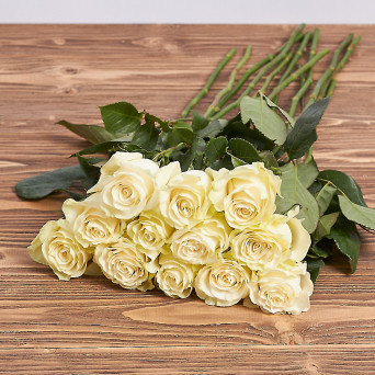 Голландская роза "Мондиаль" 70 см.
