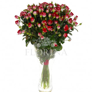 Троянда "Рубі Стар" 70 см.