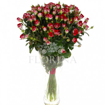 Троянда "Рубі Стар" 80 см.