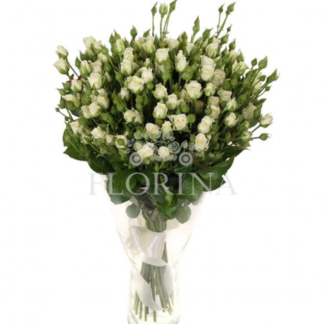 Троянда Сноуфлейк