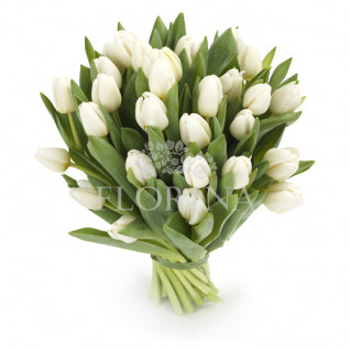 Букет "23 білих тюльпанів"