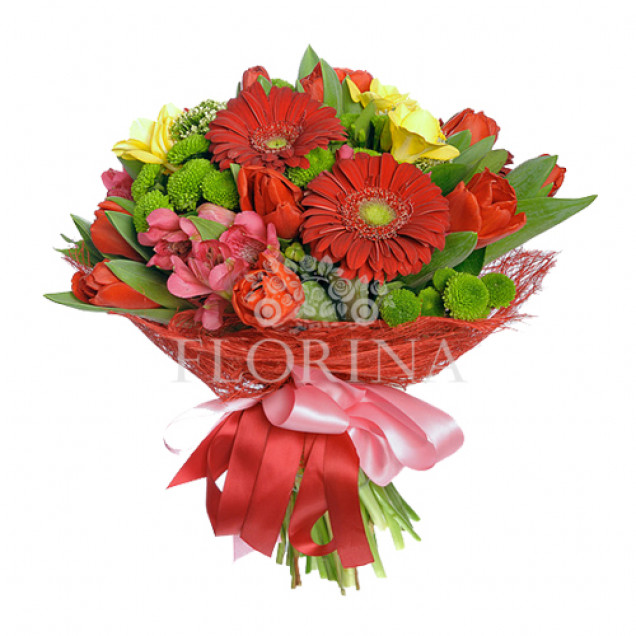 Тюльпани "Комплімент"