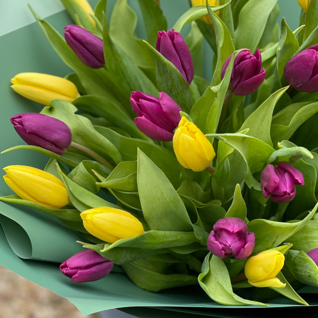 Тюльпаны "Константа"