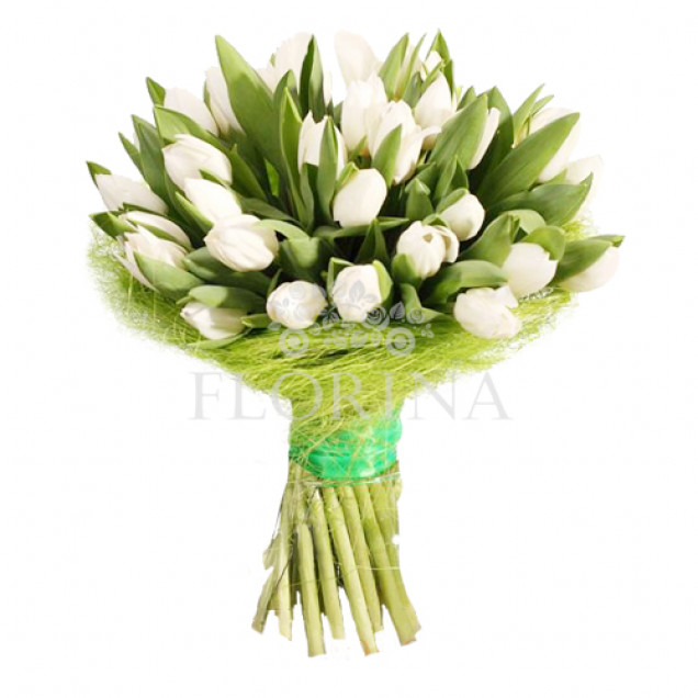 Тюльпани "Ласкавий день"