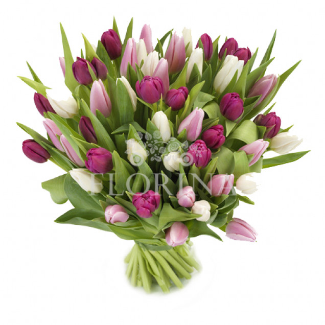 Тюльпаны "Признательность"