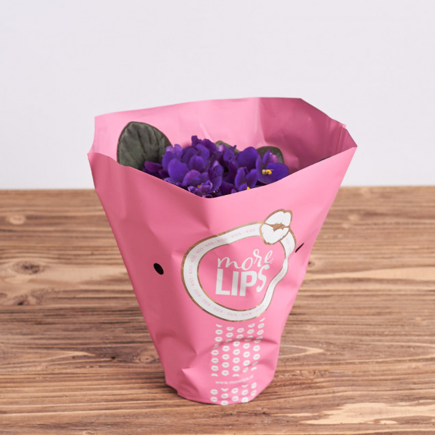 Фиалка "Фиолетовая"