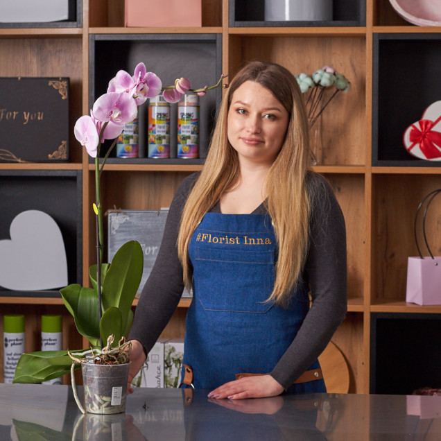 Фаленопсис "Бриллиант" 1 ст.