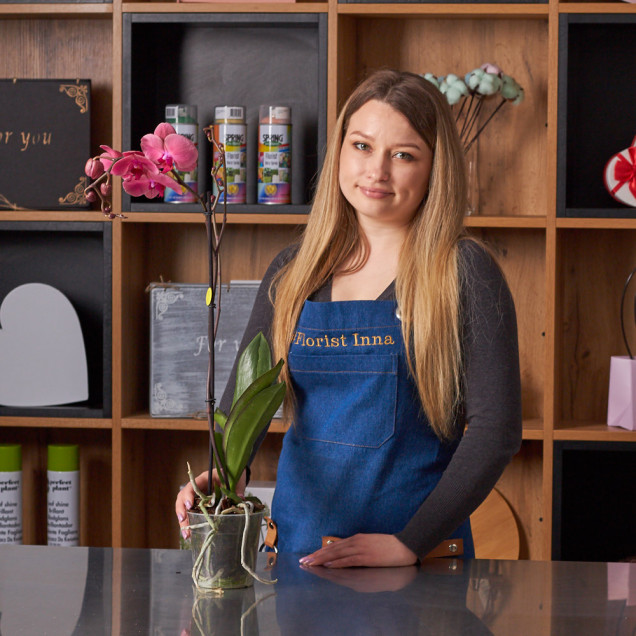 Фаленопсис "Даймонд Кинг" 1 ст.